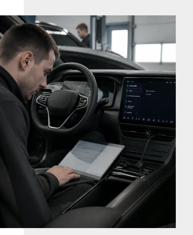 Русификация автомобилей BYD под ключ для всех моделей в Шадринске