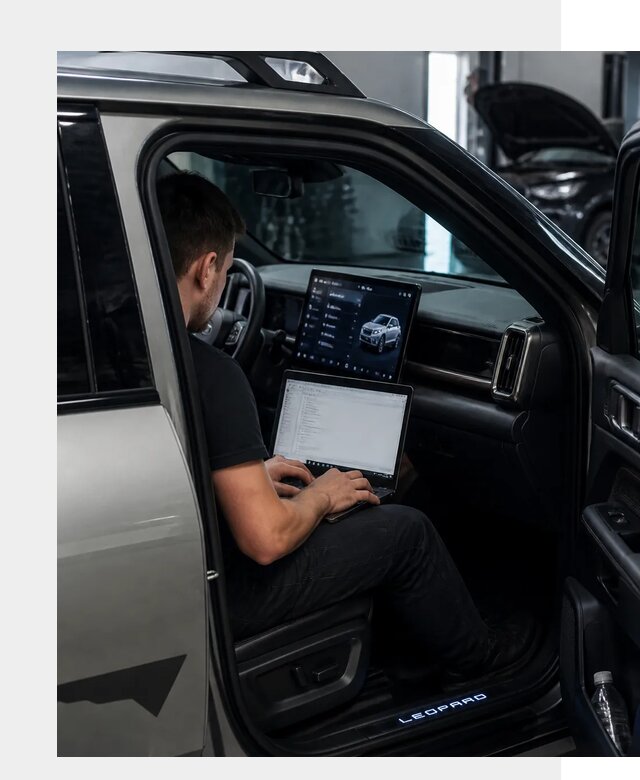 Русификация BYD Leopard 3 в Шадринске по цене от 20579 р. | ФастМобиль-Шдр
